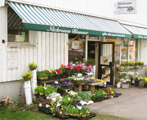 Näckrosens blommor ingång